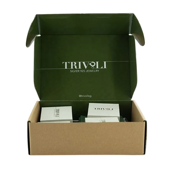 Double Locked Wall Lid Boxes