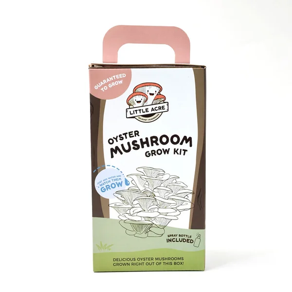 mushroom-box