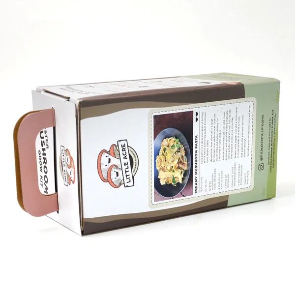 mushroom-box-designs